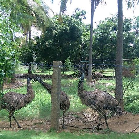 Nelliyampathy Mango Village Farm House מראה חיצוני תמונה