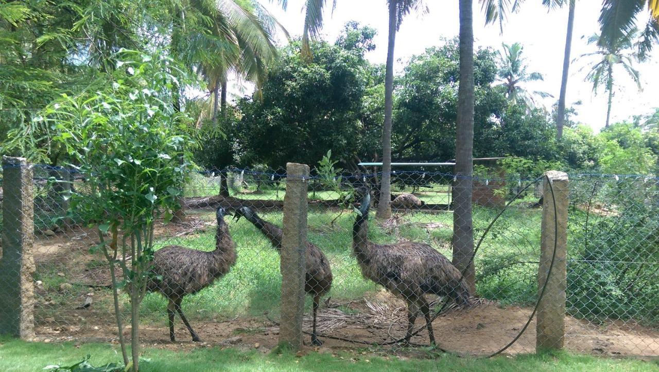 Nelliyampathy Mango Village Farm House מראה חיצוני תמונה